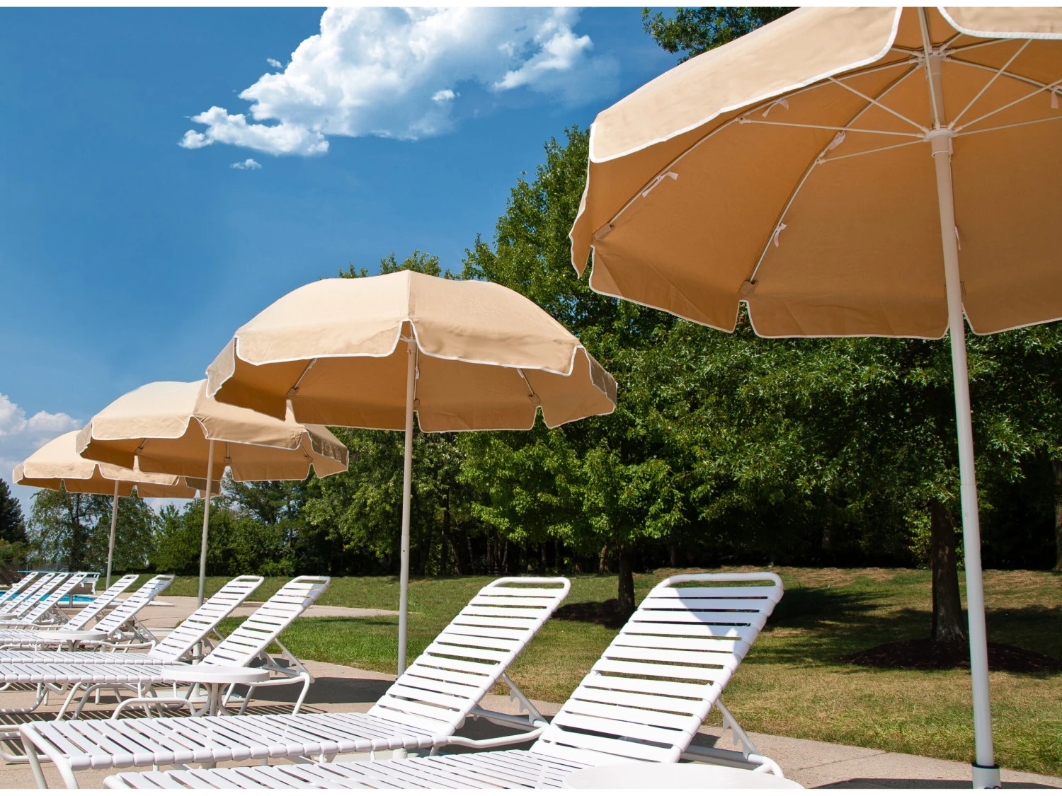 Frankford Quick Ship Catalina Fiberglass 7.5 Foot Wide Octagon Manual Lift Umbrella - Image 17