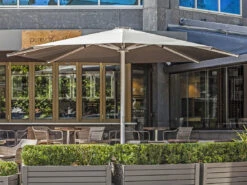 Frankford Nova Steel In-Ground Mount