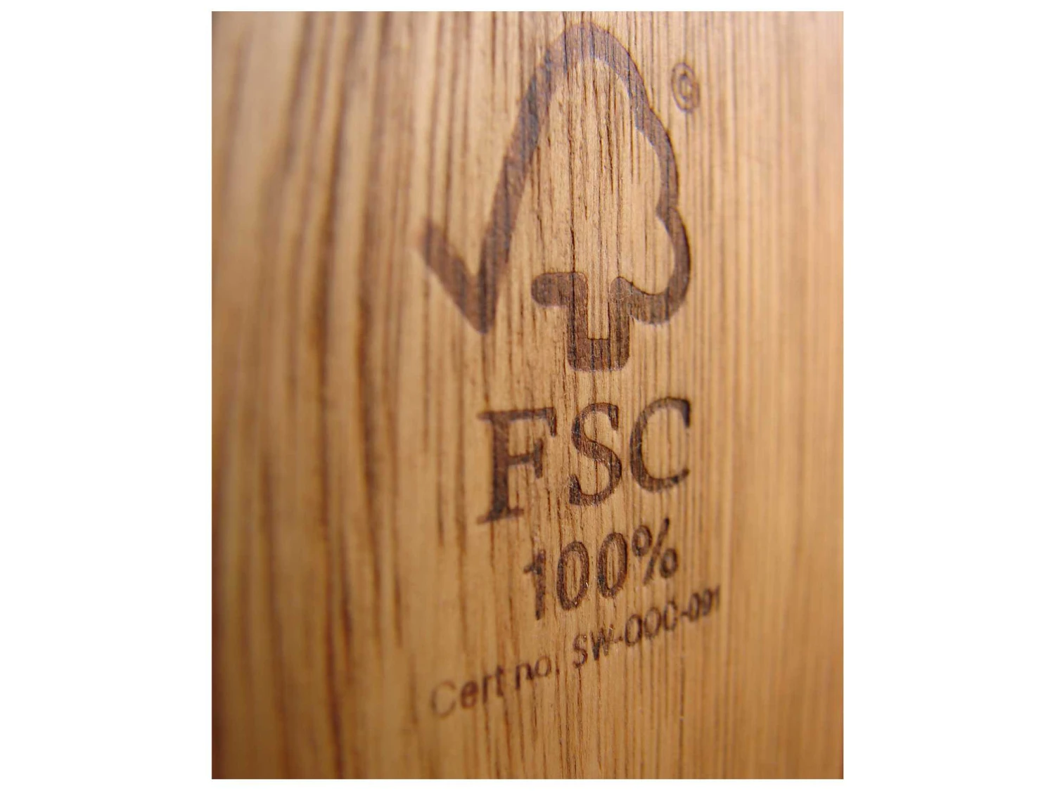 International Home Miami Amazonia Washburn 2 Piece Lounge Set With White Cushions - Image 13